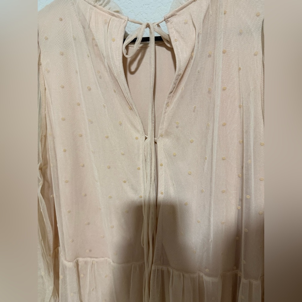 H&M Sheer Swiss Dot Babydoll Dress - Light Pink - Picture 8 of 9